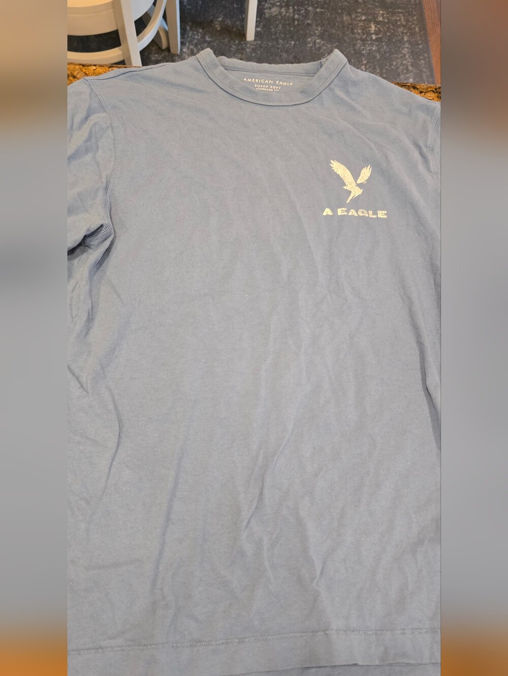 American Eagle Outfitters Light Blue Long Sleeve Tee with White Logo